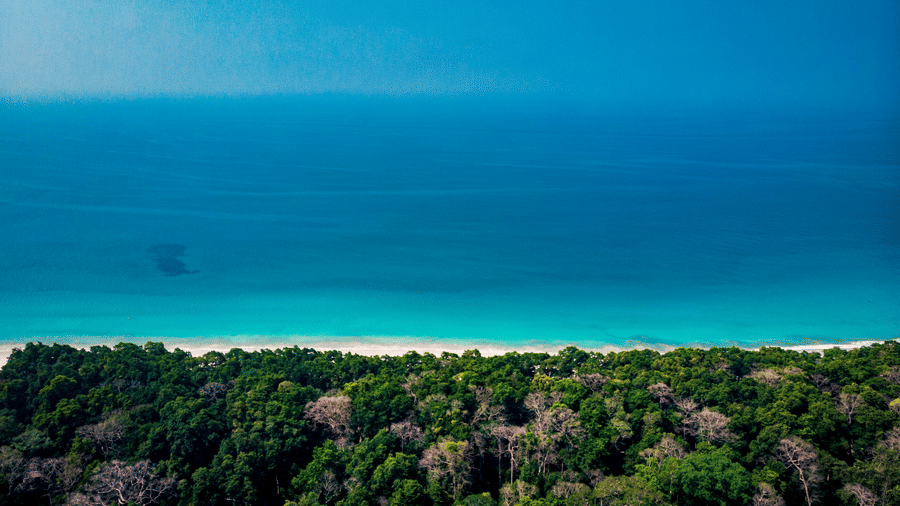 Radhanagar beach surrounded by lush greenery at Barefoot by Havelock.