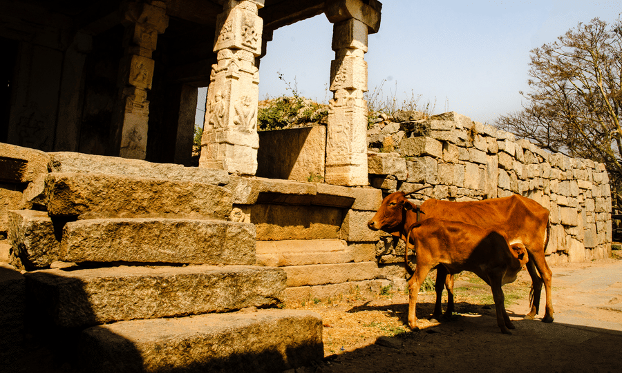 Unhurried Hampi 1