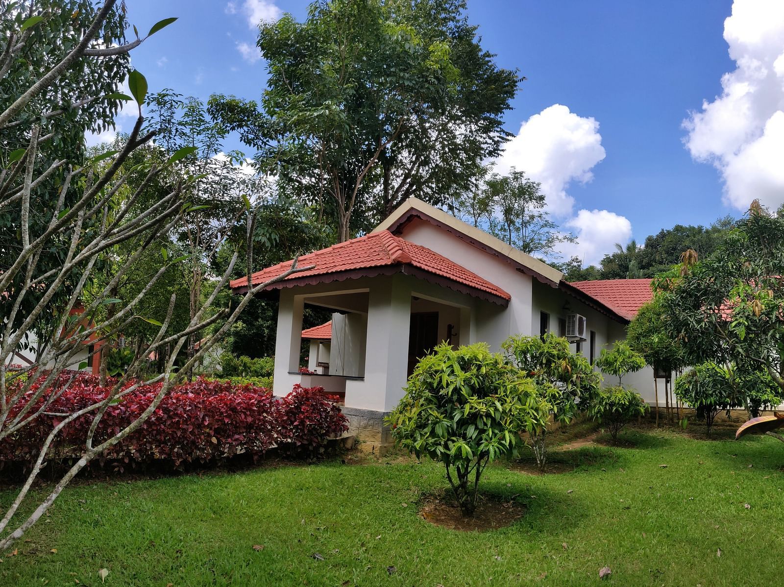 A single-story cottage with a red tiled roof and white walls surrounded by a lush garden with red-flowered shrubs, green lawns, and tall trees against a blue sky with fluffy clouds.