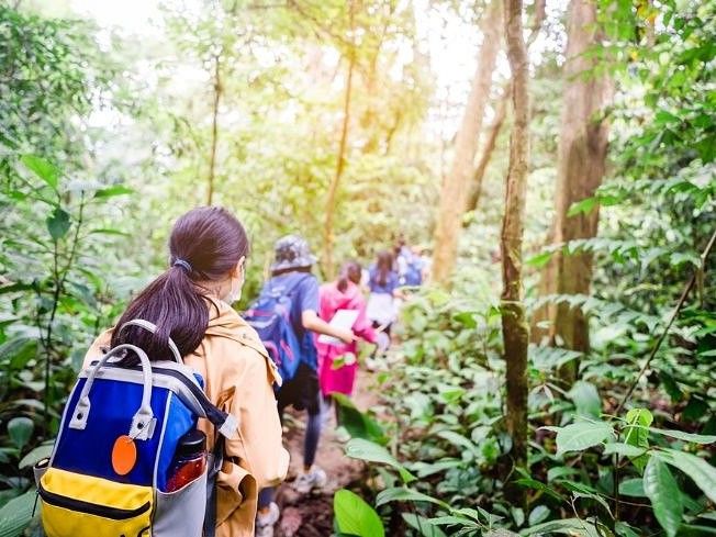 Group of Children with colourful backpacks going for trekking