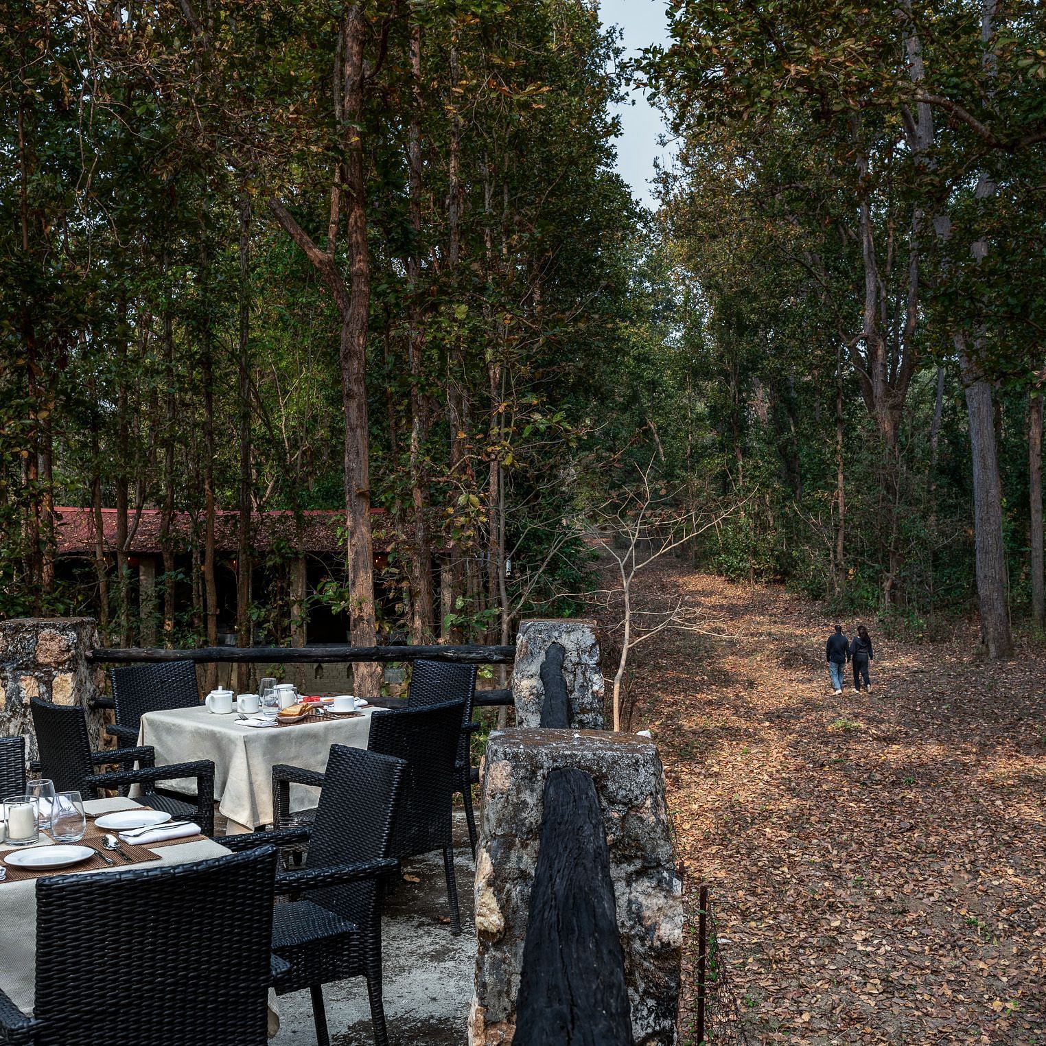 Another view of dining setup at Machaan dining at Saccharum Safari Lodge, Balaghat