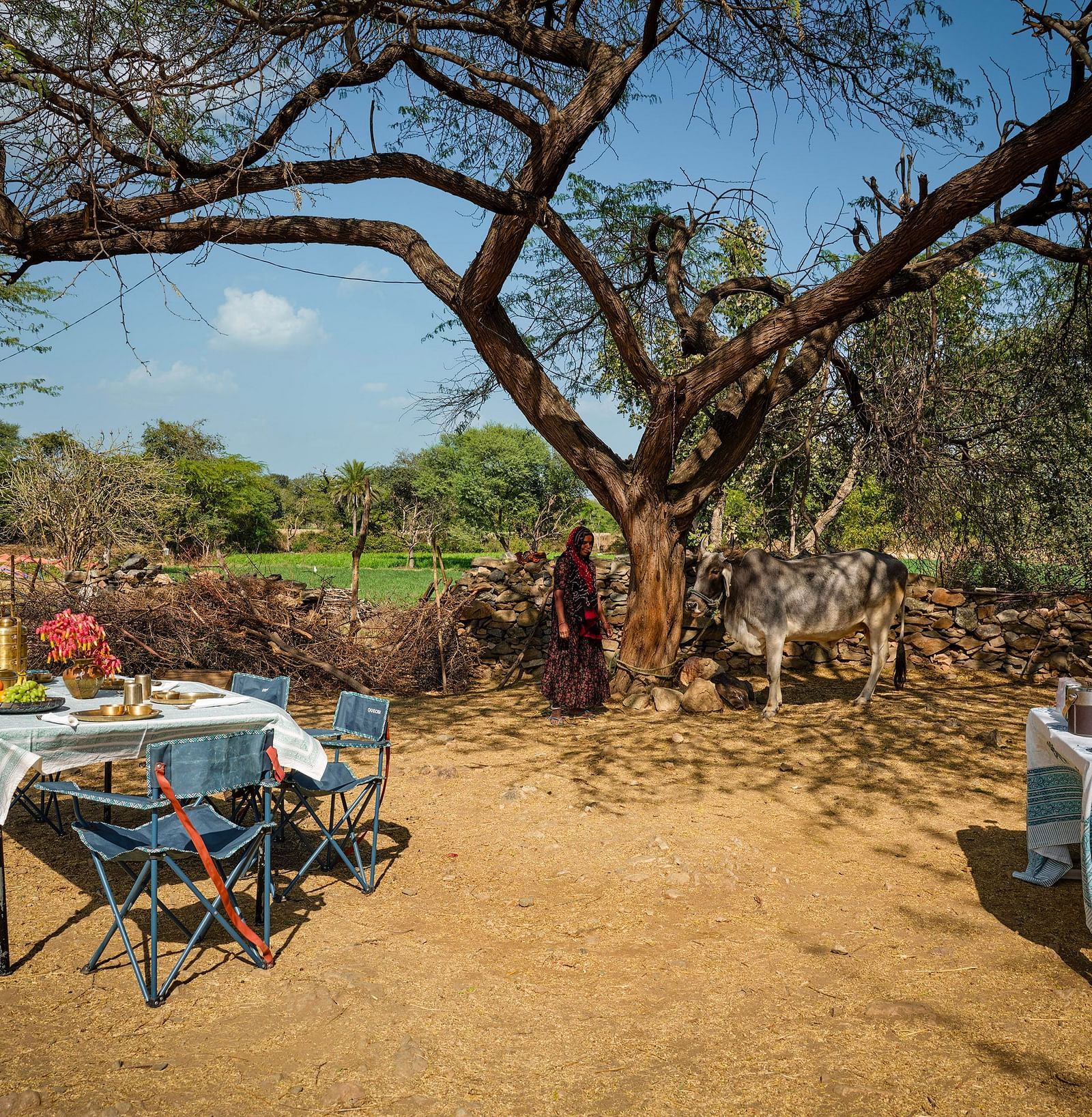 Image of out door farm lunch at Dev Shree, Deogarh featuring well arranged seating areas waith a lot of dishes