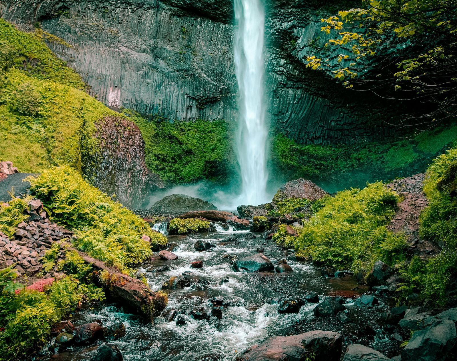 Waterfall cascading over rocks into a stream surrounded by lush plants.