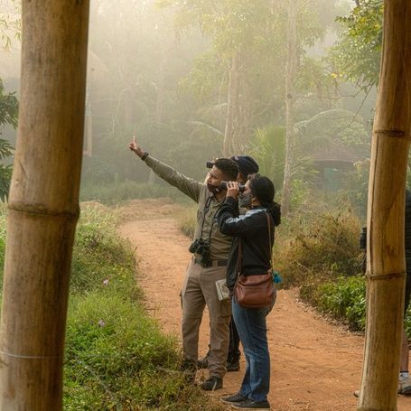Guests enjoying a tranquil morning amidst Coorg beauty.
