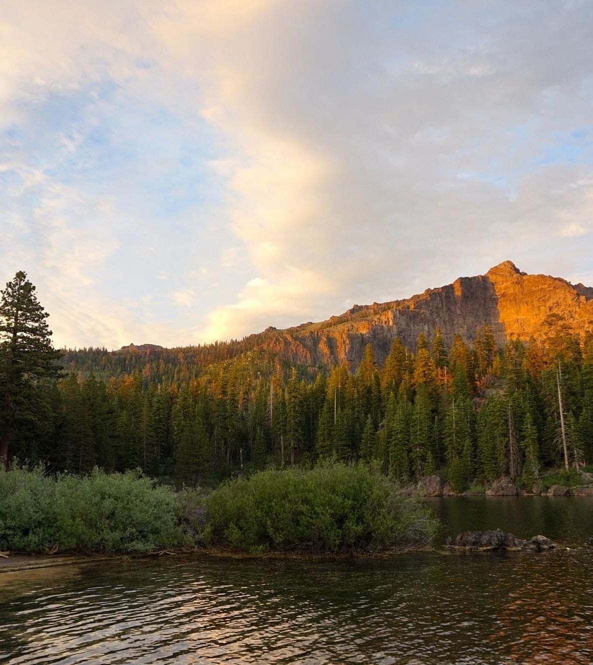 A sunset casts warm light on a mountain peak surrounded by a forest and a body of water