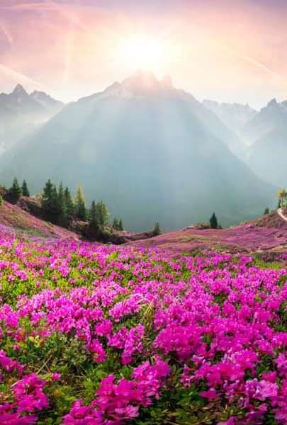 Spring