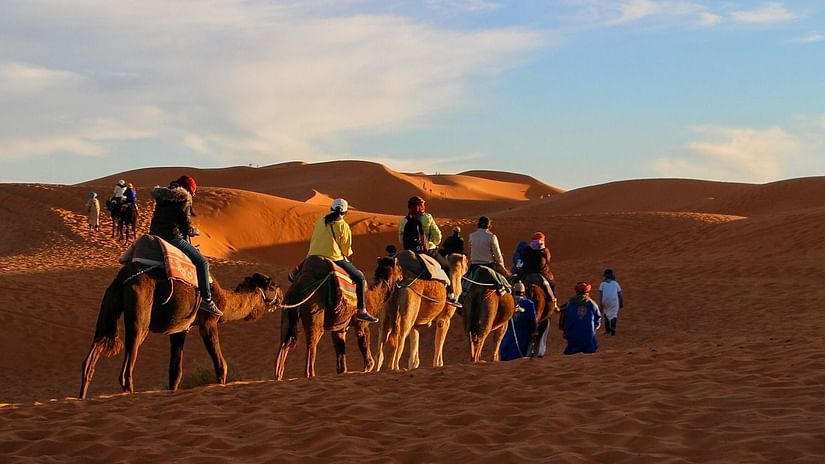 A group of tourists on a camel ride through the desert 