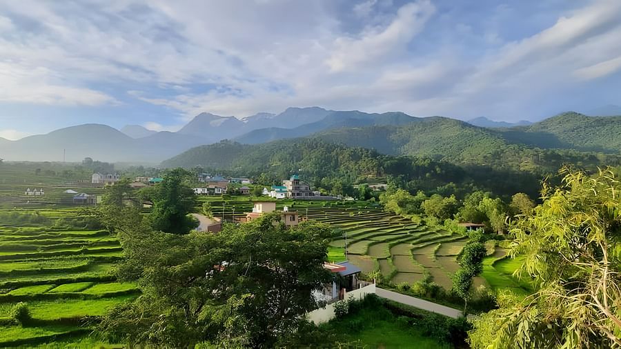 Mountain View (5)
