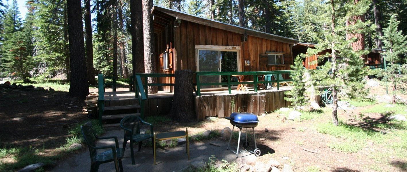 A  wooden cabin with a slanted roof sits nestled among tall pine trees. - Kit Carson Lodge