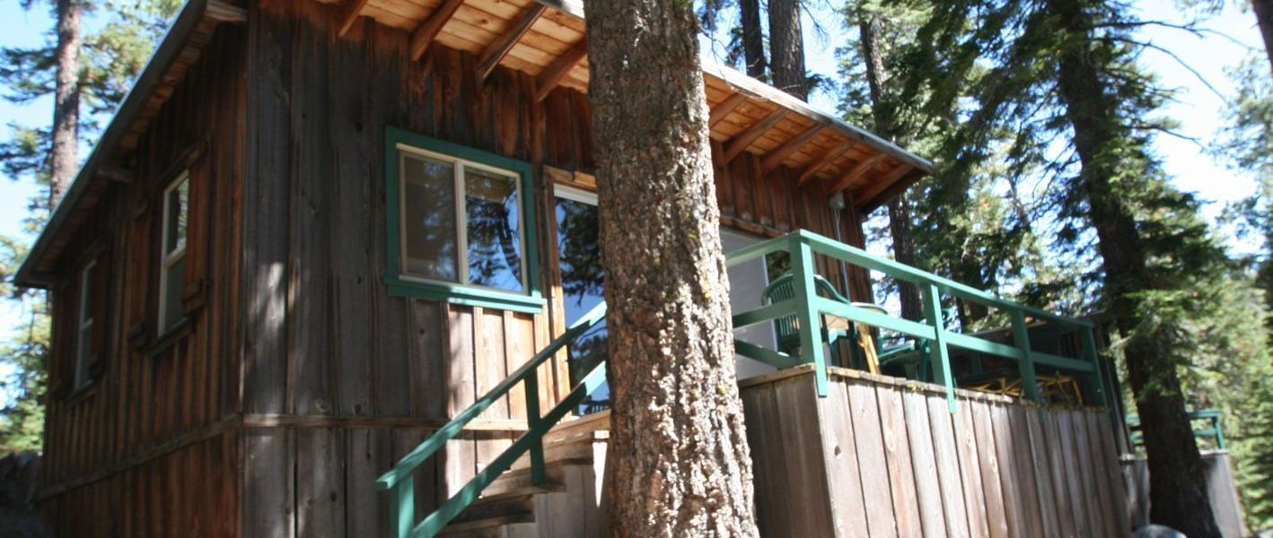 A rustic cabin with weathered wood siding and a trimmed window nestled amongst tall trees. - Kit Carson Lodge & Restaurant 