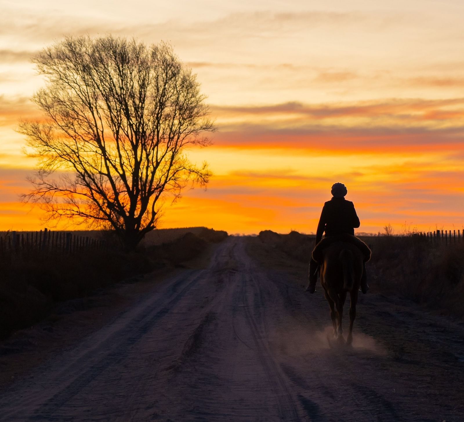 A person riding their horse during sunset