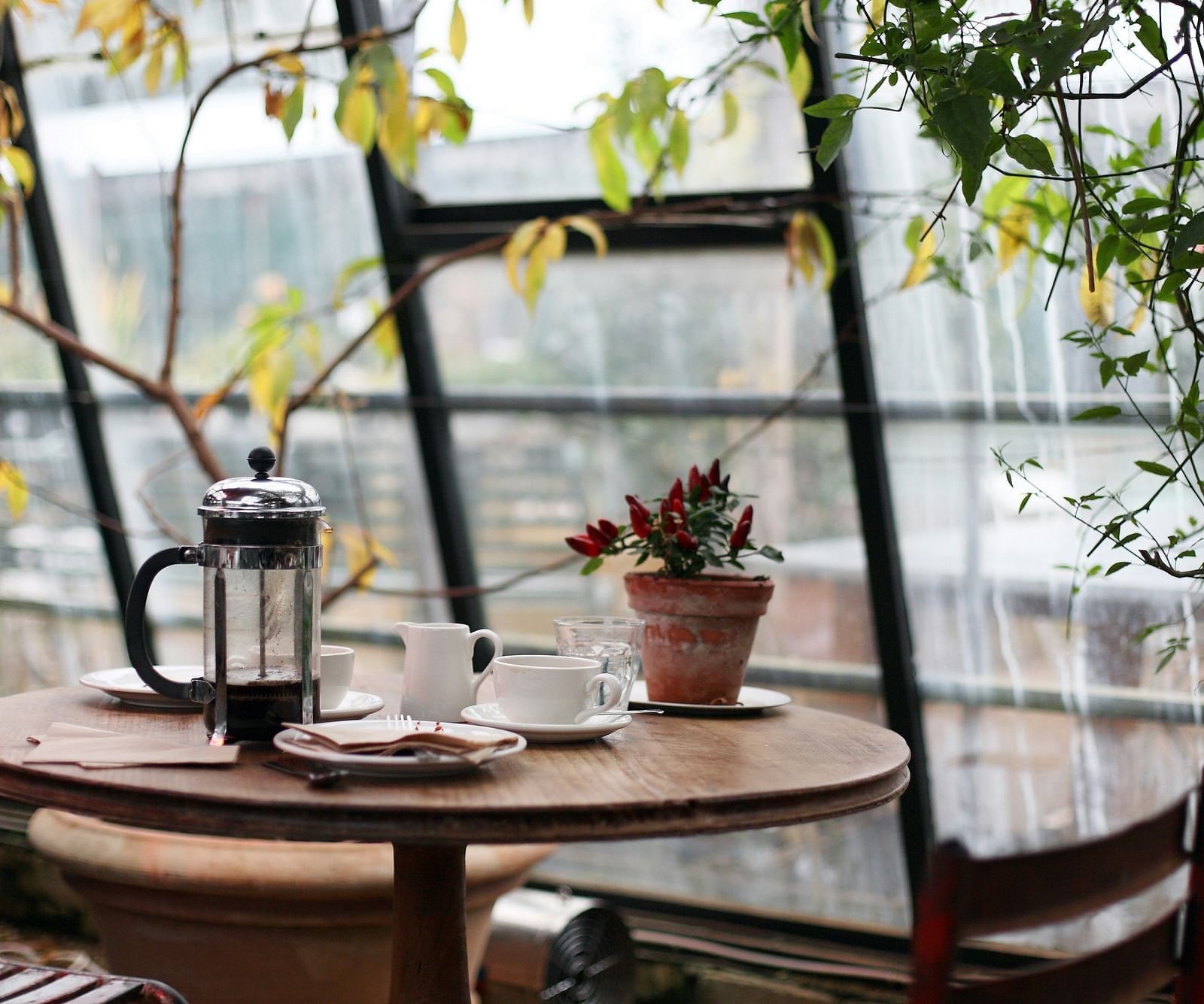 A close up shot of a table inside a cafe next to the window with plants next to it