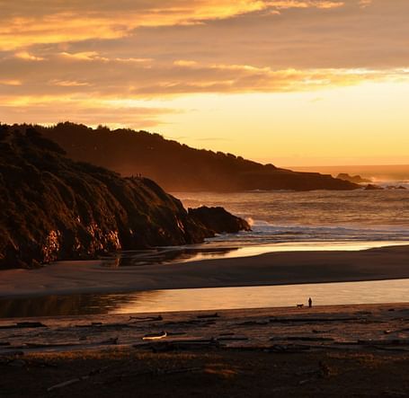 A woman walking her dog on a beach during a sunset which fills the sky with golden hues - Brewery Gulch Inn & Spa