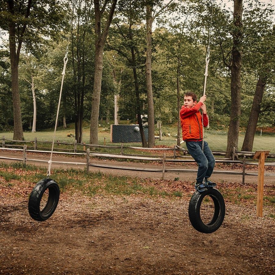 alt-text Swinging tyres
