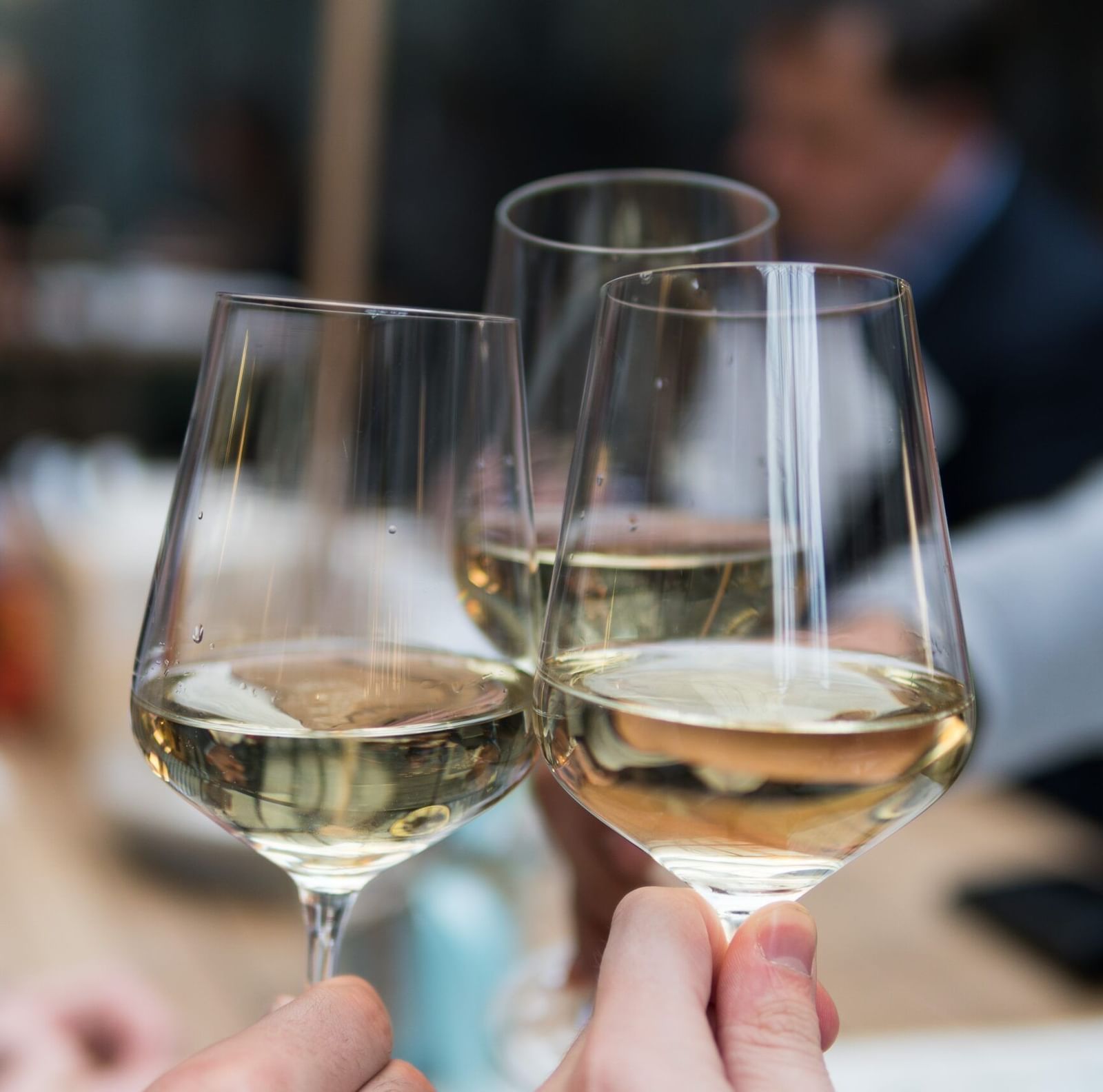 A close-up shot of 3 glasses of white wine clinking together for a toast.