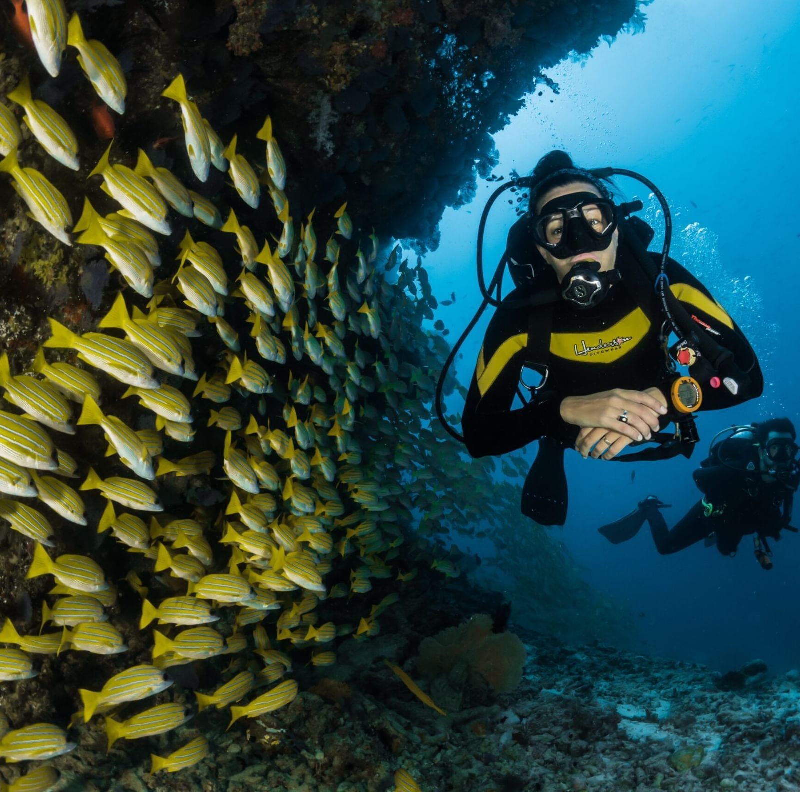 A deep-sea diver well-equipped with an oxygen cylinder swimming beside a school of yellow fishes.