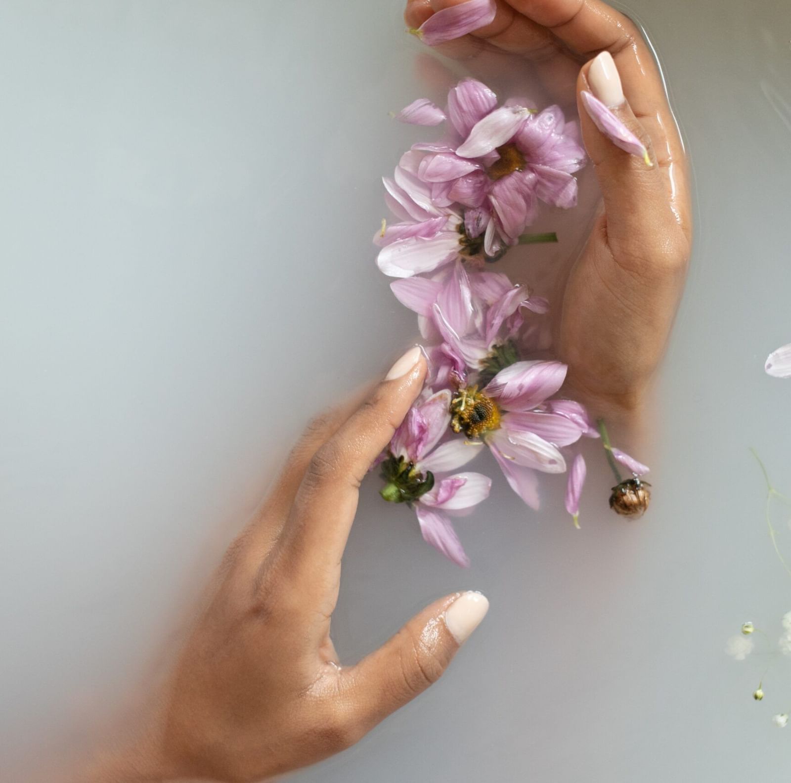 Close-up shot of the palms of a person gently brushing against the pink flower petals in white translucent water.