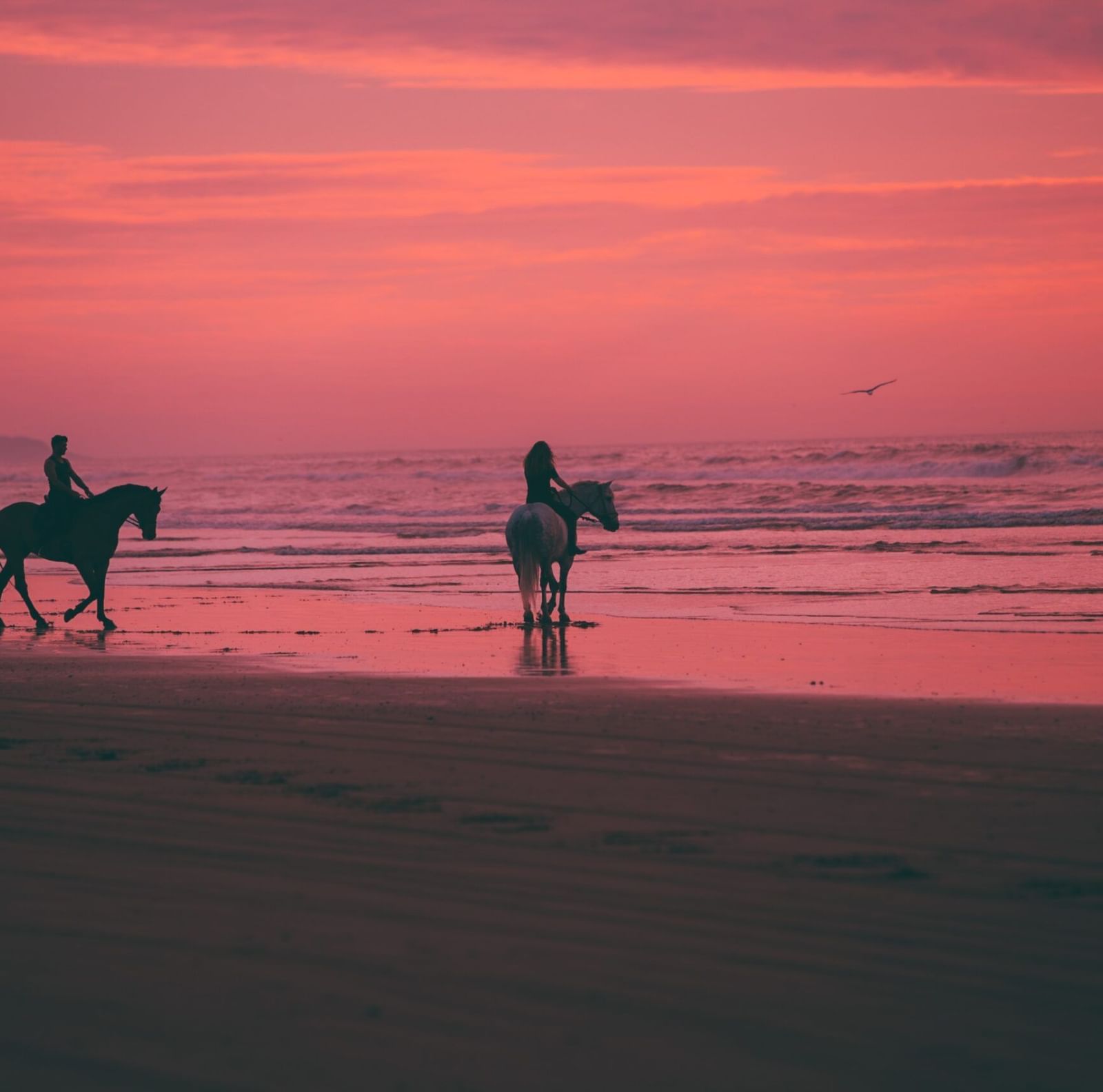 2 horseback riders on a beach during the sunset, with the sky and water reflecting vibrant hues of pink and orange.