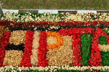 Screenshot from 2026-03-11 19-12-24