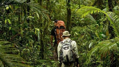 people going on a jungle trek - Holistic Stay Eco Resort, Kannur