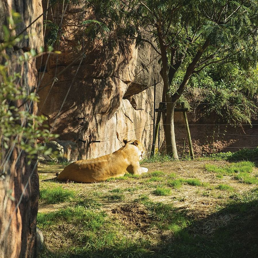 wildlife sanctuary