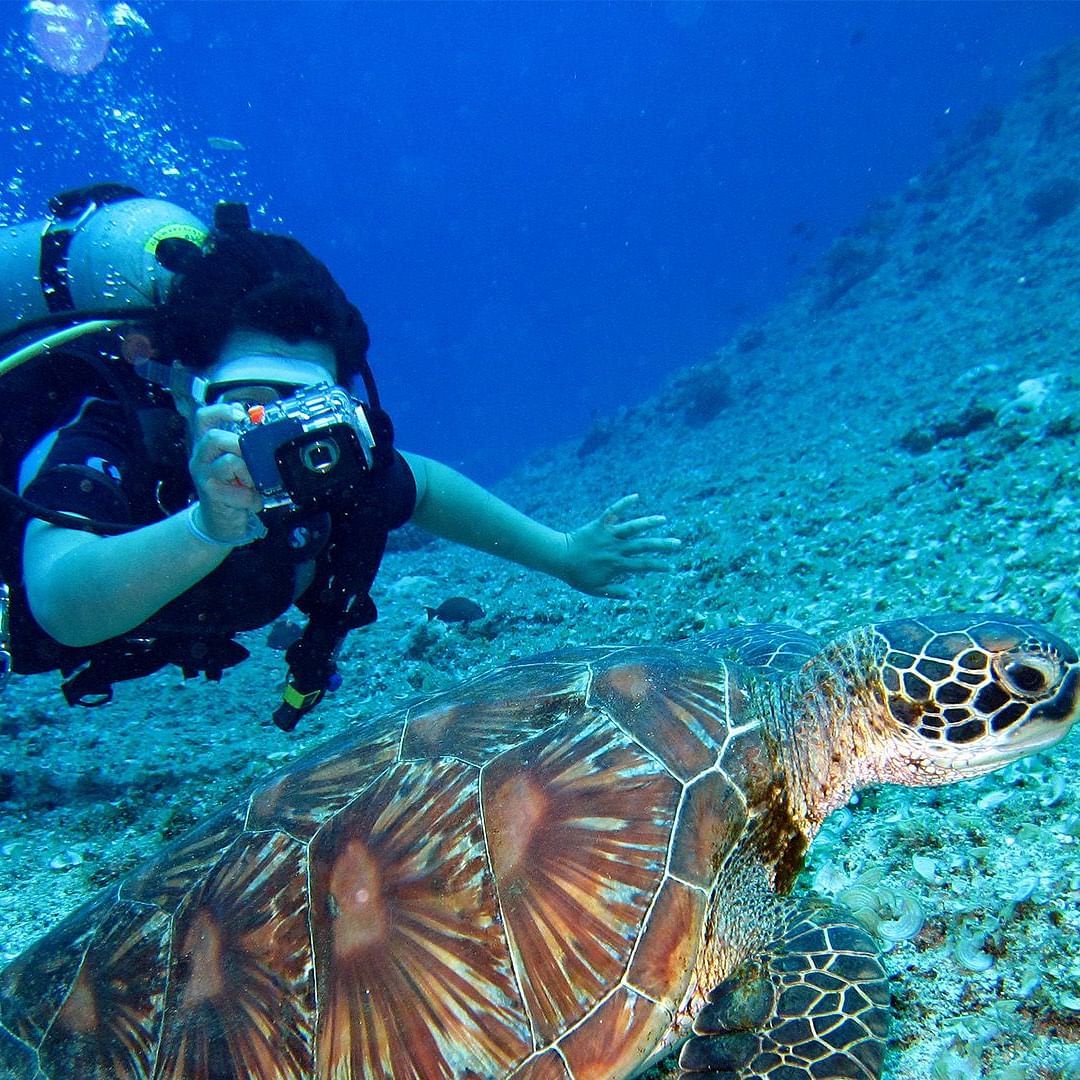 A n image scuba diving enthusiast in deep waters capturing a picture of a tortoise with his camera