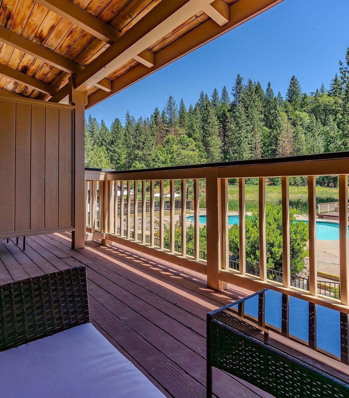 A view of the forest from a balcony of one of the rooms at Amador Hotel.