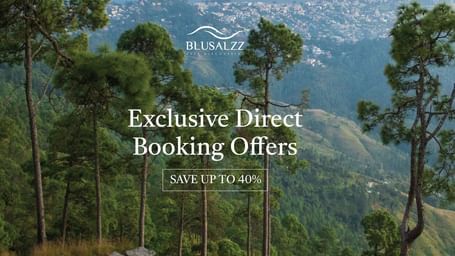 Forest hillside with distant valley views, featuring text 'Exclusive Direct Booking Offers – Save up to 40%' from Blusalzz travel promotions.