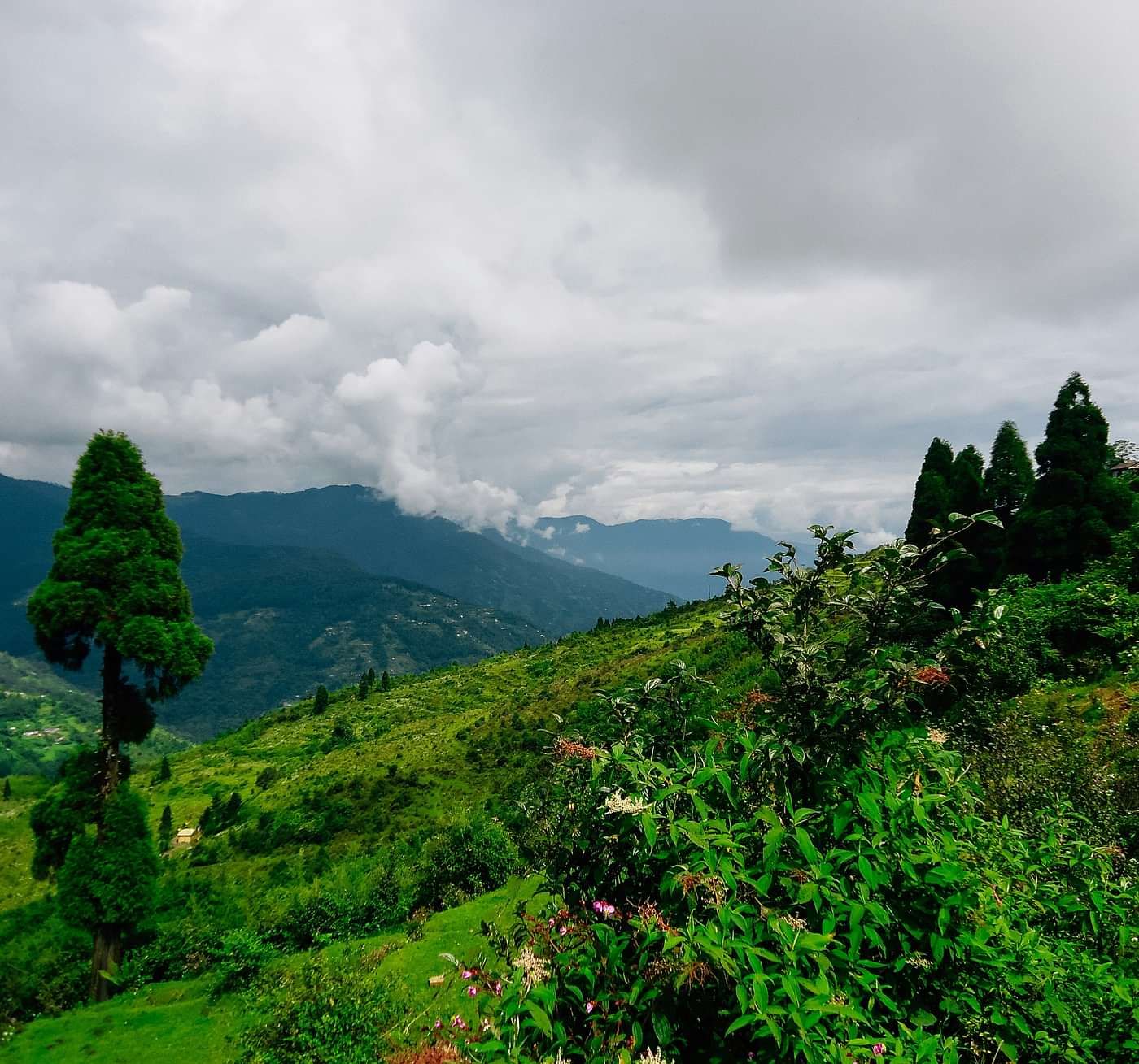 Scenic view of a person walking through lush green hills under a cloudy sky