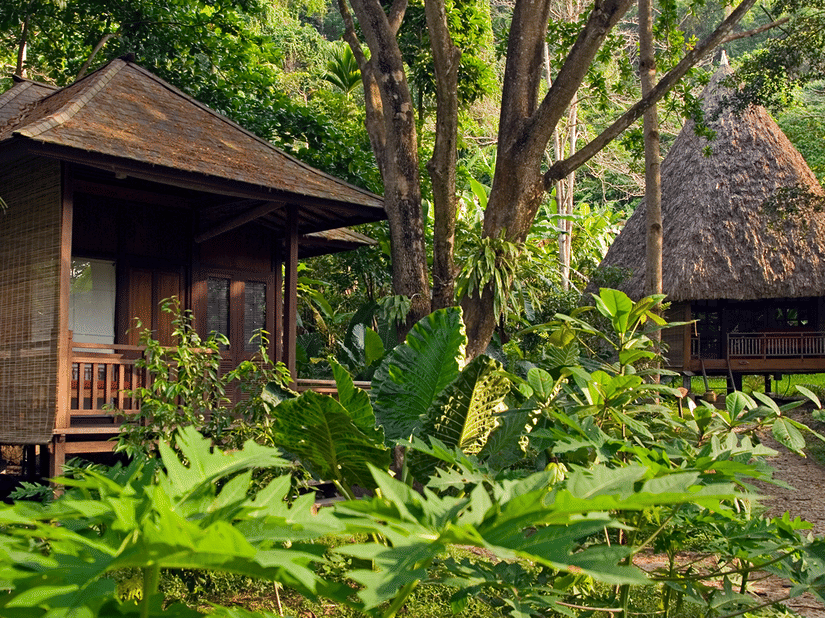 Facade of cottages in Andaman at Barefoot at Havelock enveloped in lush greenery.