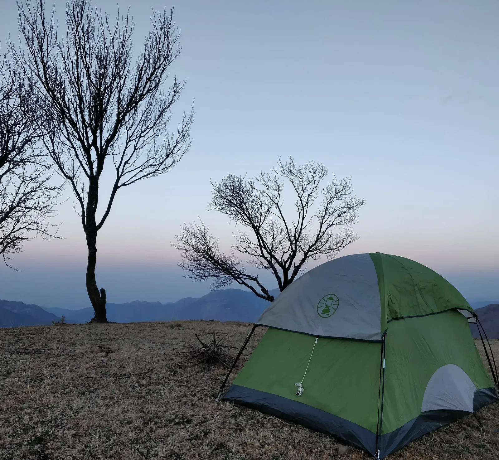 A green tent pitched on a hilltop with bare trees and a hazy mountain vista in the background.
