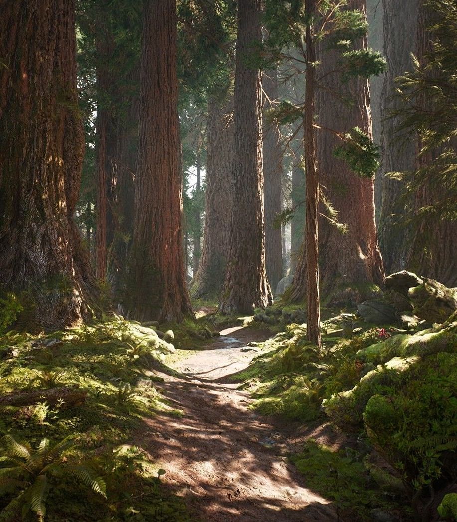 Majestic redwood forest with dappled sunlight filtering through the trees, creating a tranquil atmosphere - Brewery Gulch Inn & Spa