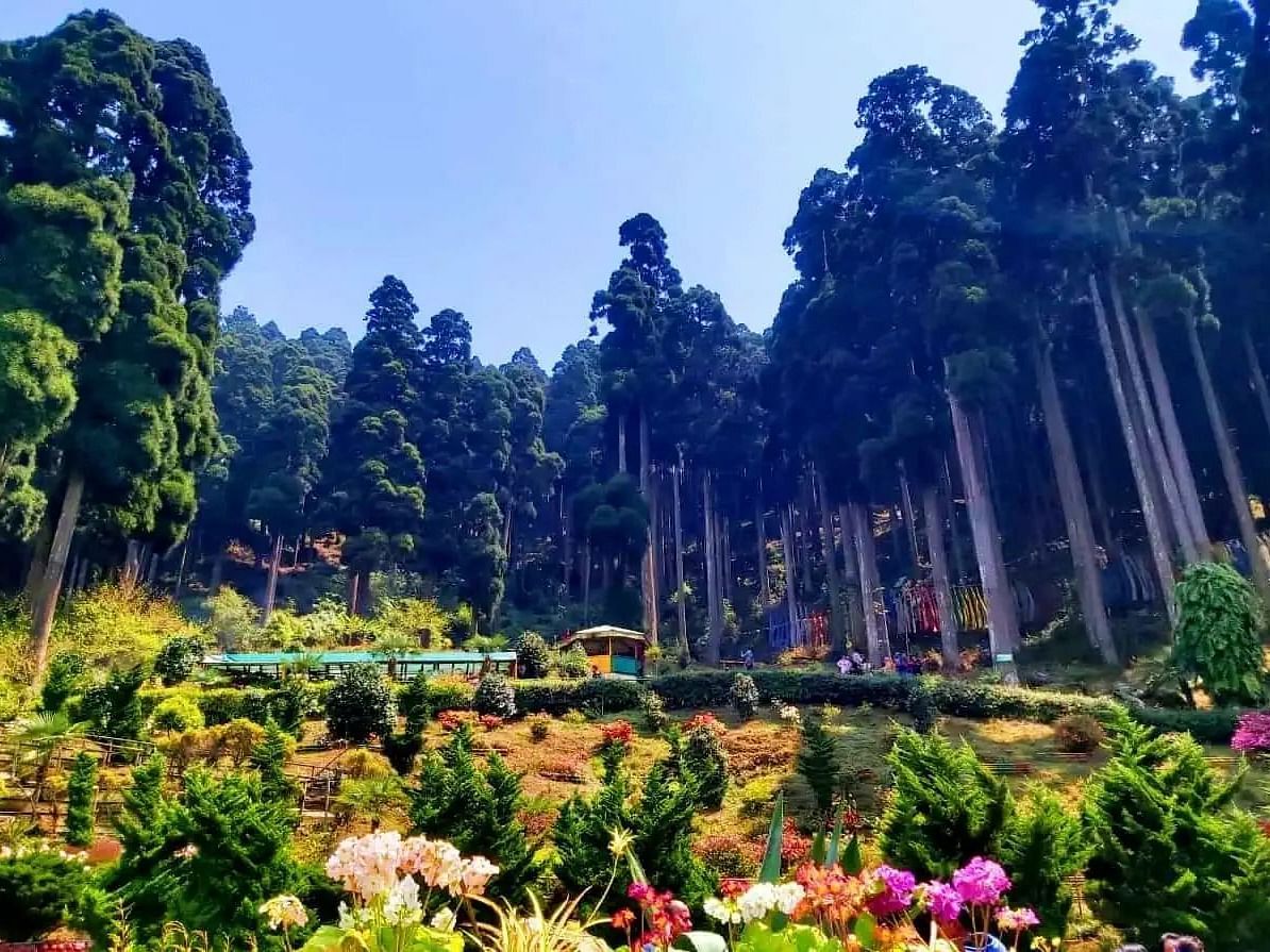 Lush scenery with lots of plants and trees surrounding the area