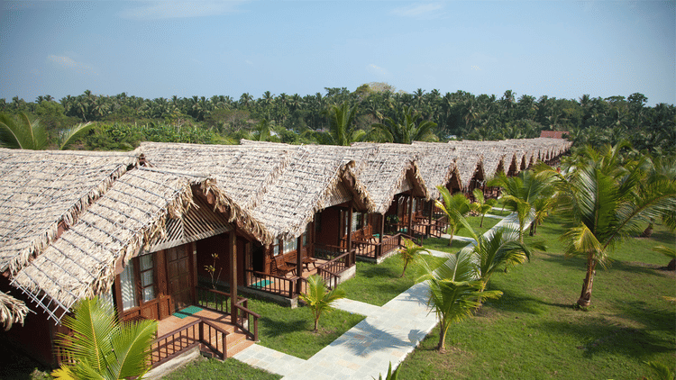 Cottages with thatched roof at Symphony Palms