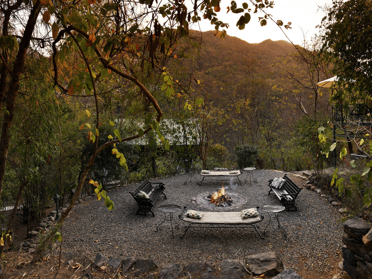 Bonfire amidst benches in the forest