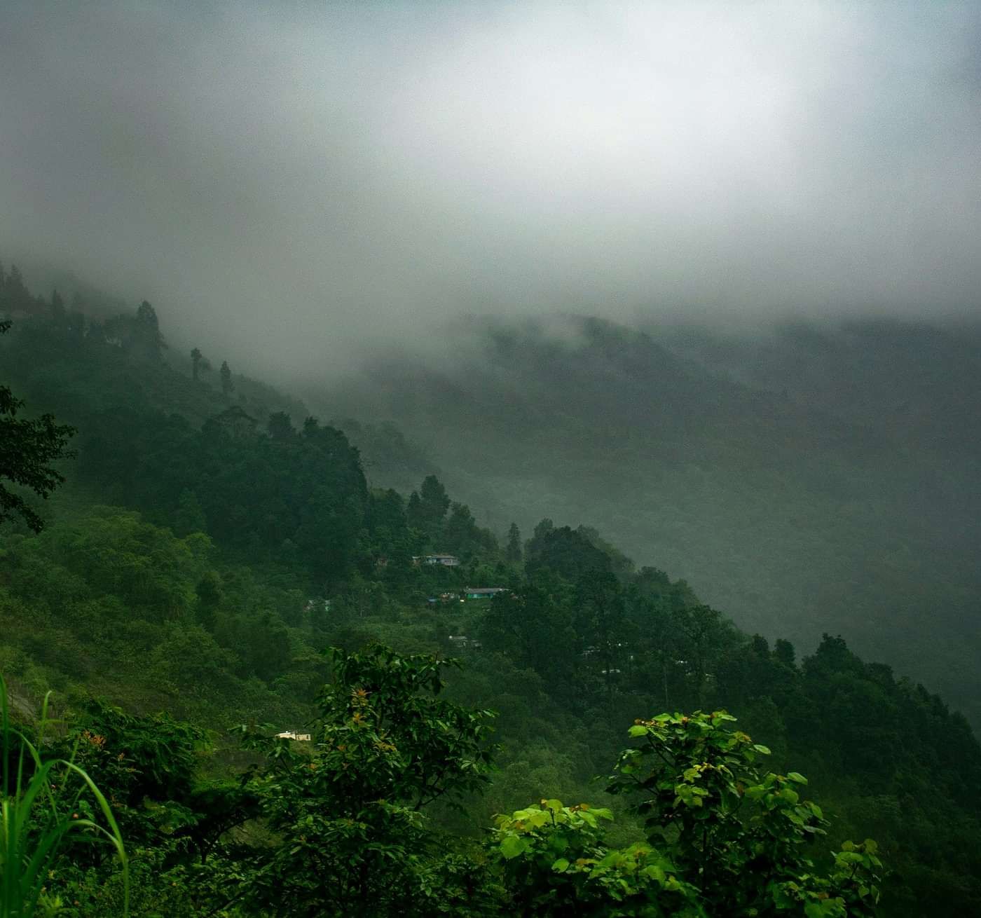 rabhimbh-bardhan-URA7XdzTA7s-unsplash