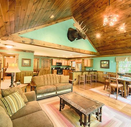 full view image of the living area with pastel green colored walls complemented by a decorative stag head - Historic Tapoco Lodge