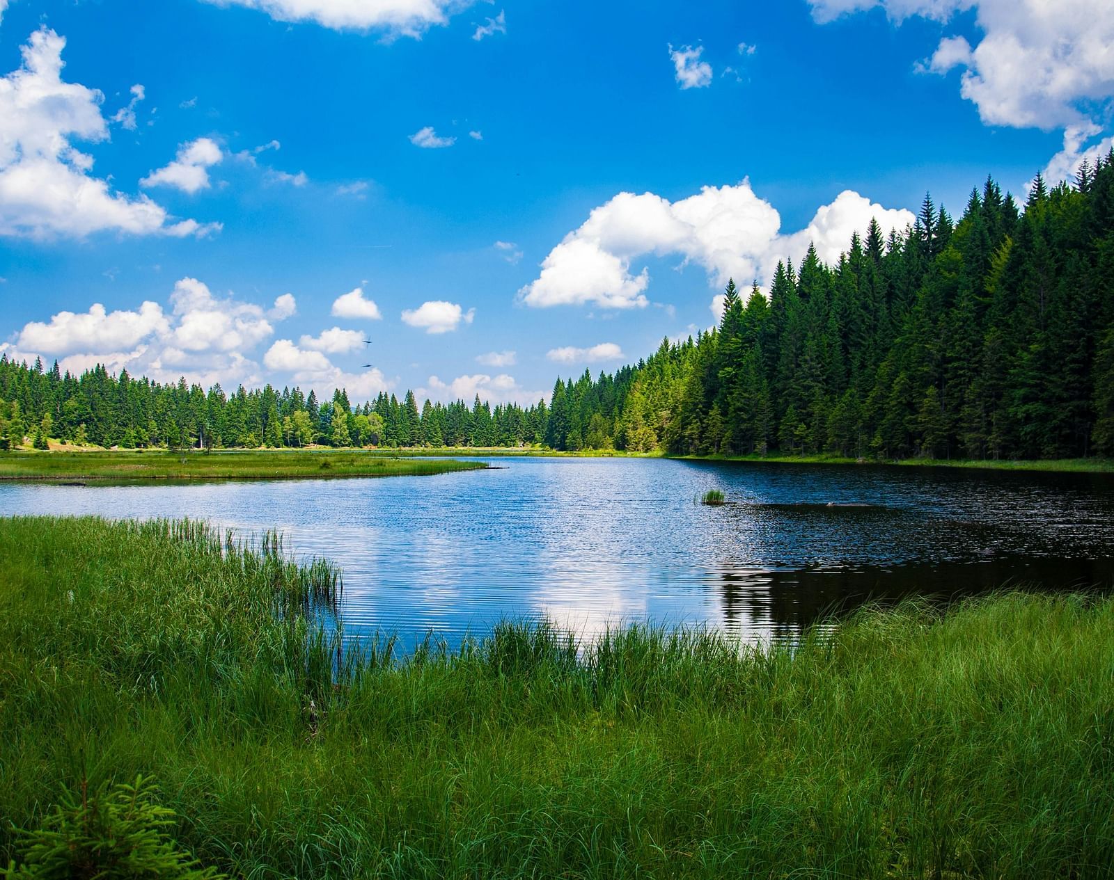 Lake surrounded by grass and trees under the sky.
