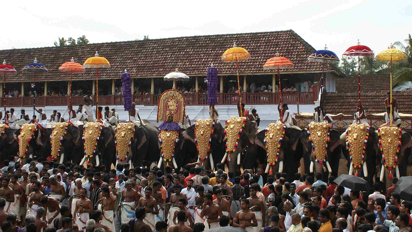 Hotel NM Royale County - Tripunithura, Kochi Kochi Thrippunithura-Elephants8 crop