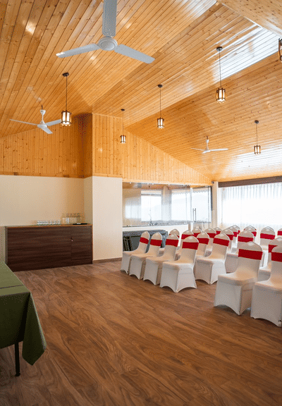 PPF03089 Large rrdyzs