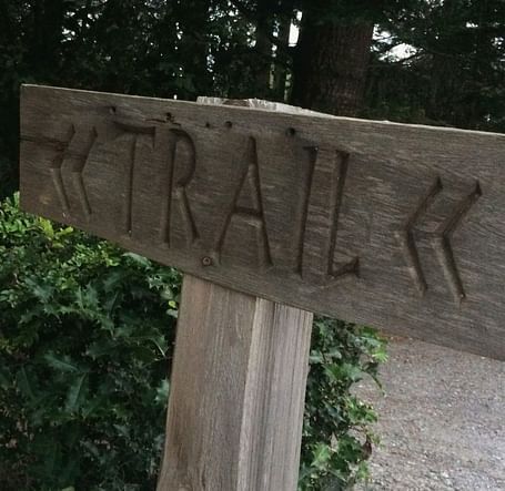 A wooden sign with the word TRAIL and directional arrows is affixed to a post in a wooded area.