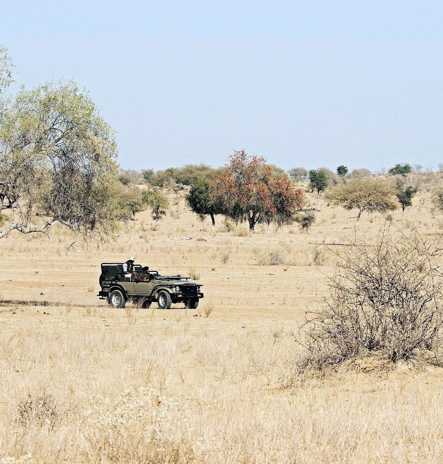 A safari jeep exploring the desert landscape at Manvar Resort & Desert Camp