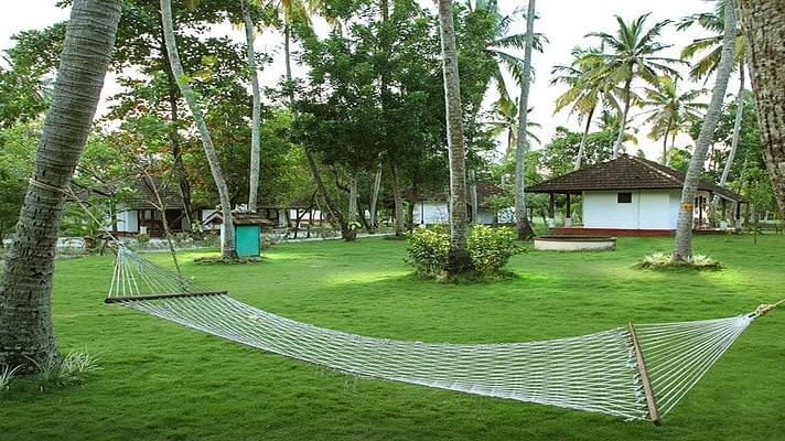 abad-turtle-greenery-relaxation-resort