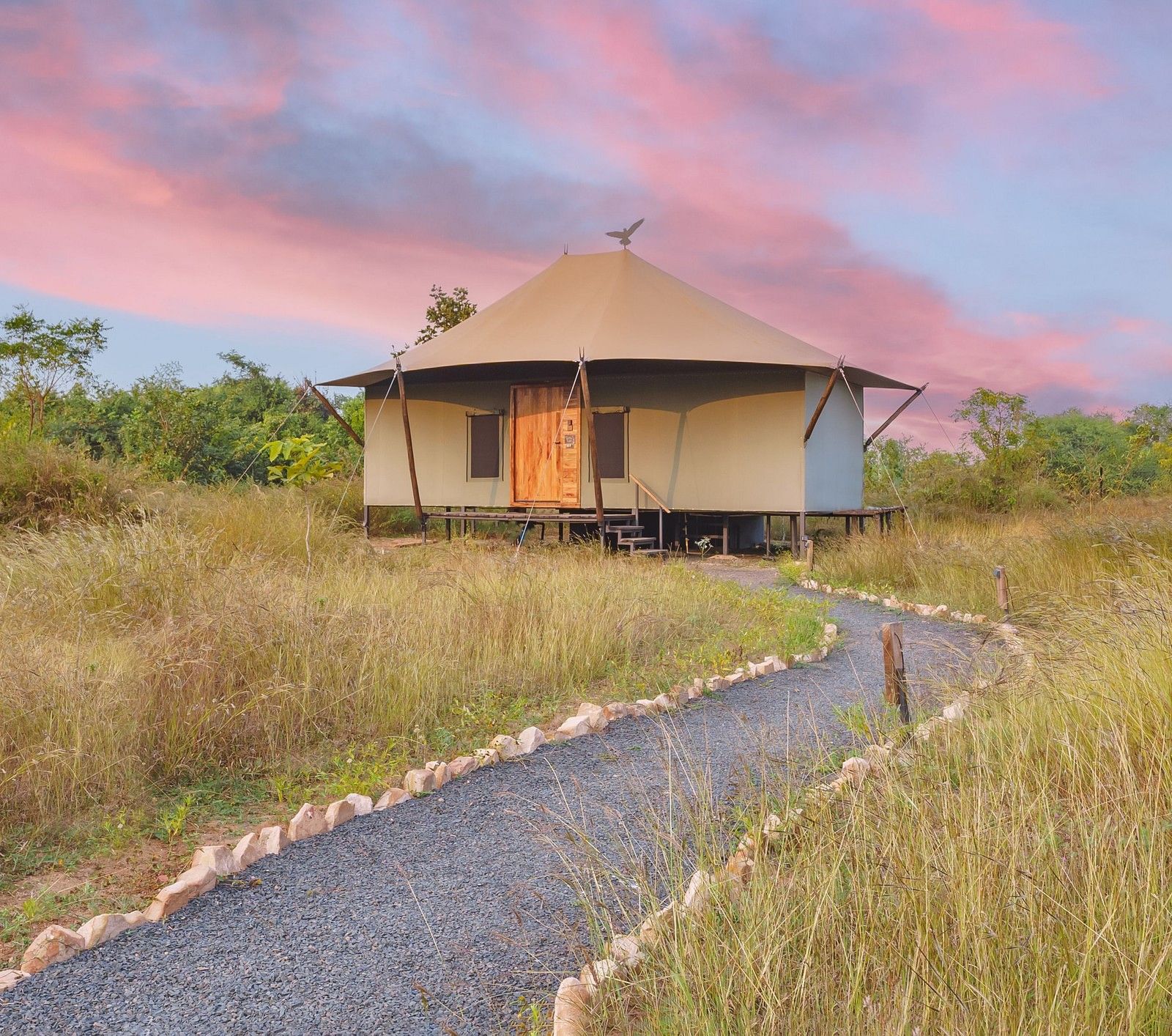A hut shaped tent in the middle of a jungle at Trees N Tigers, Tadoba.