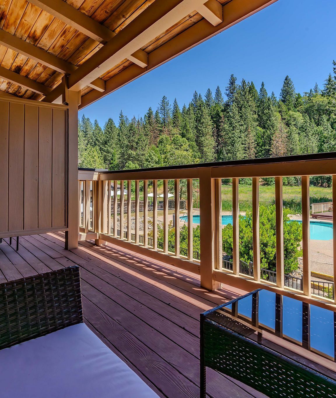 A view of the forest from a balcony of a room at Amador Hotel.