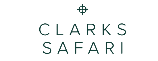 Logo of Clarks Safari with a small snow flake placed above it.