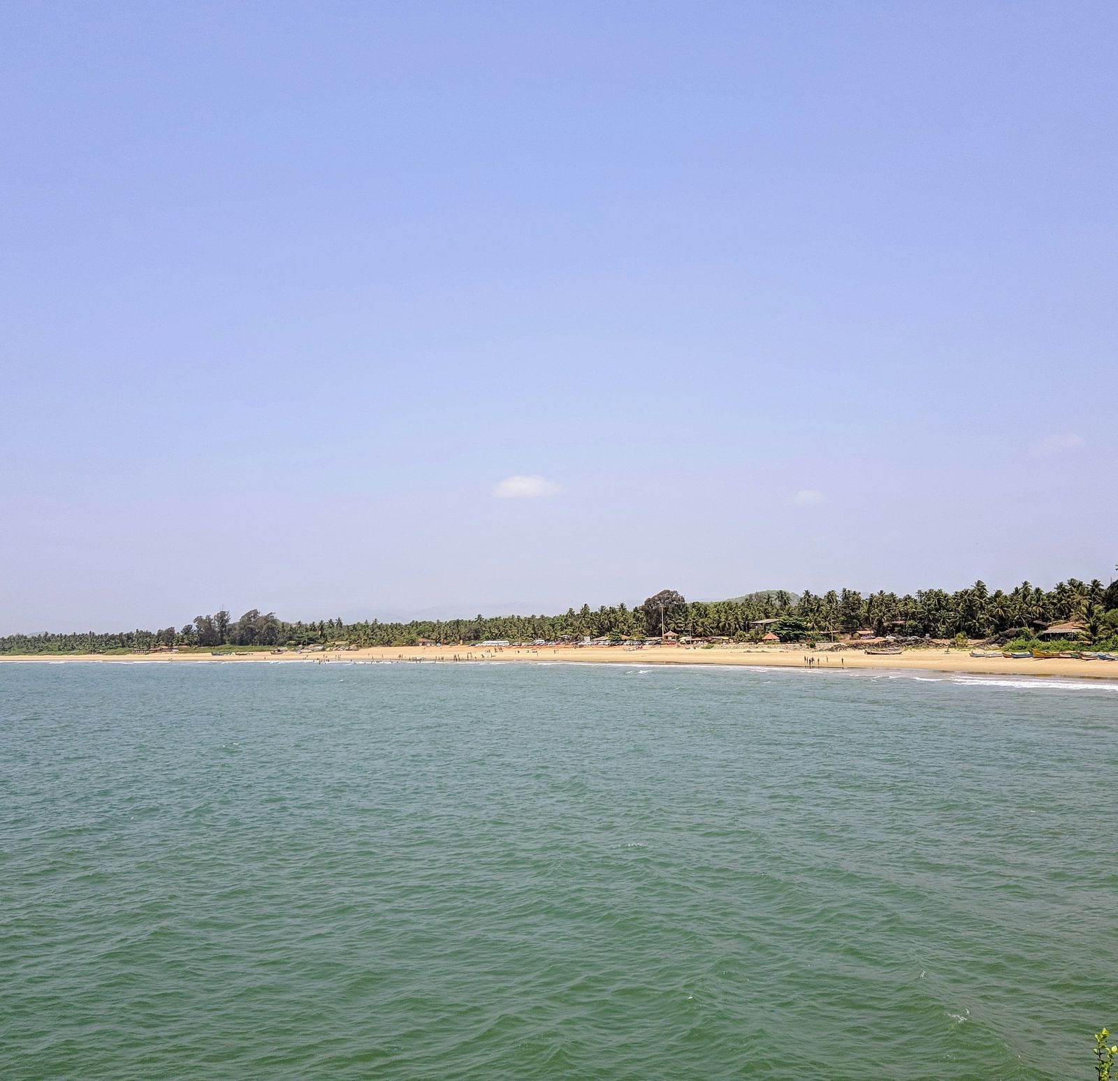 A view of the lake surrounded by trees on a sunny day.