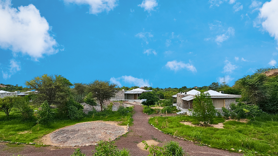Scenic view of a Lawn at Clarks Safari, Jawai