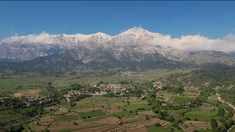 Aerial view of Palampur under a clear sky featuring lush greenery and mountains