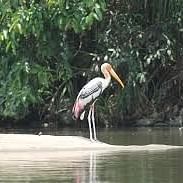 Hotel Southern Star Hassan Hassan Ranganthittu Bird Sanctuary
